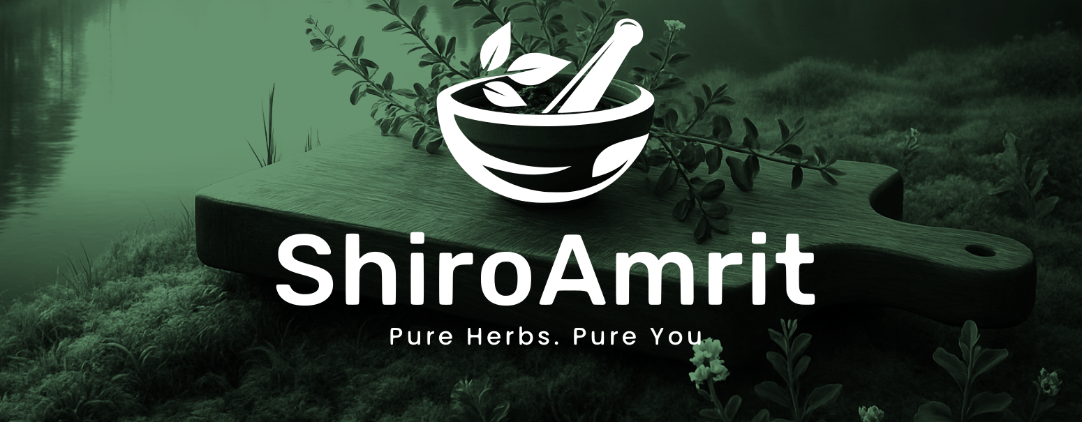ShiroAmrit